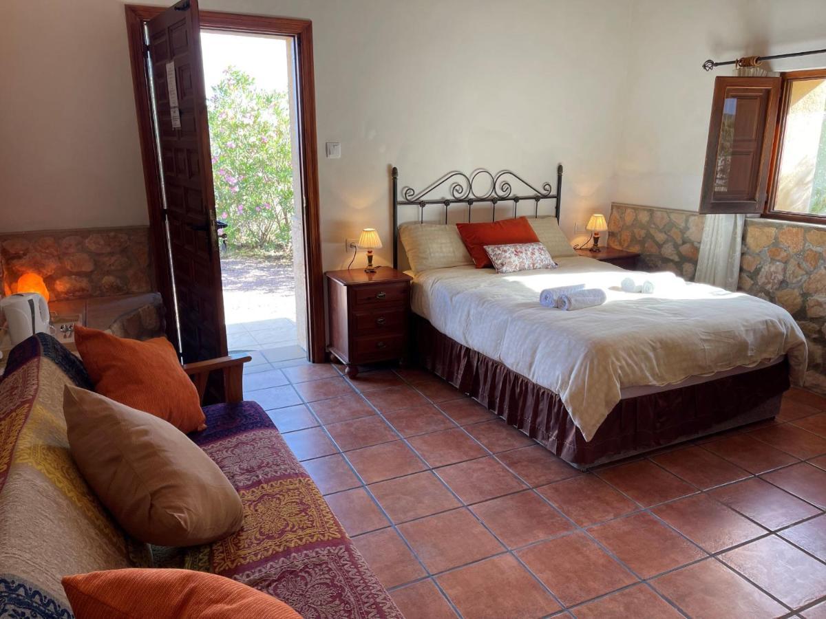 Grapevine Manor Pensionat Monovar Rum bild
